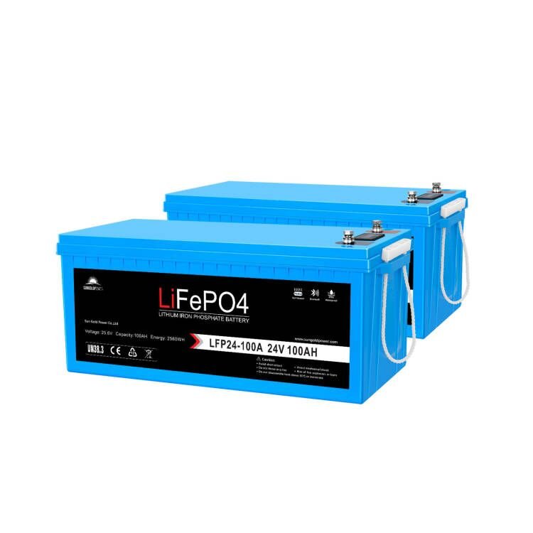 SunGoldPower 2 X 24V 100Ah LiFePo4 Deep Cycle Lithium Battery Bluetooth / Self-Heating / IP65