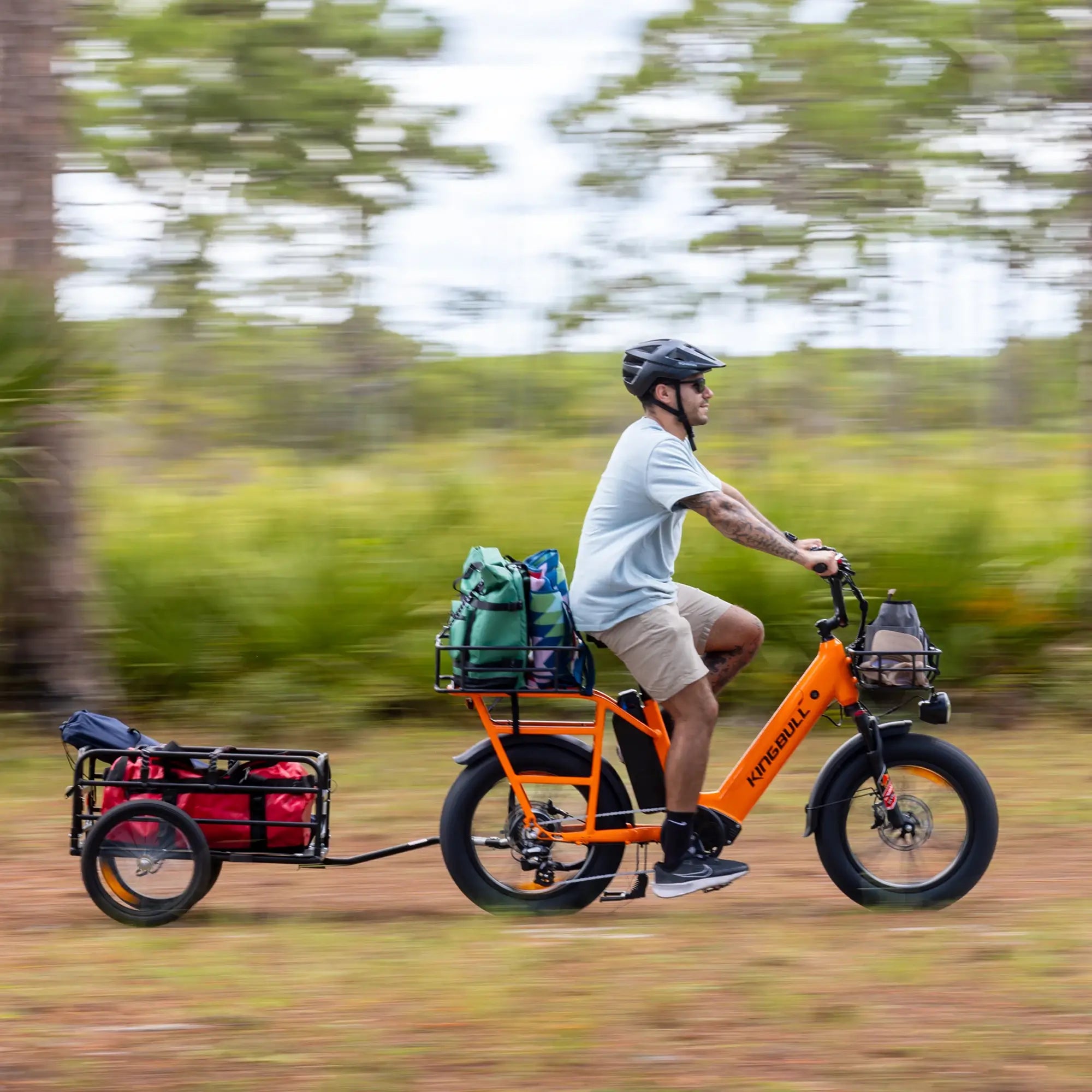 Kingbull Dual Battery Voyager 2.0| Long Range Cargo Electric Bike