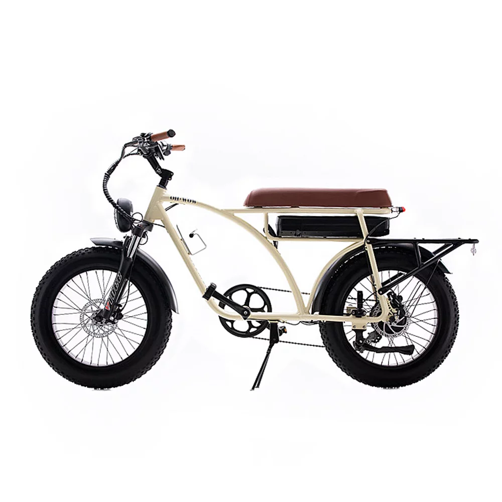 Voltaic 750 Electric Bike