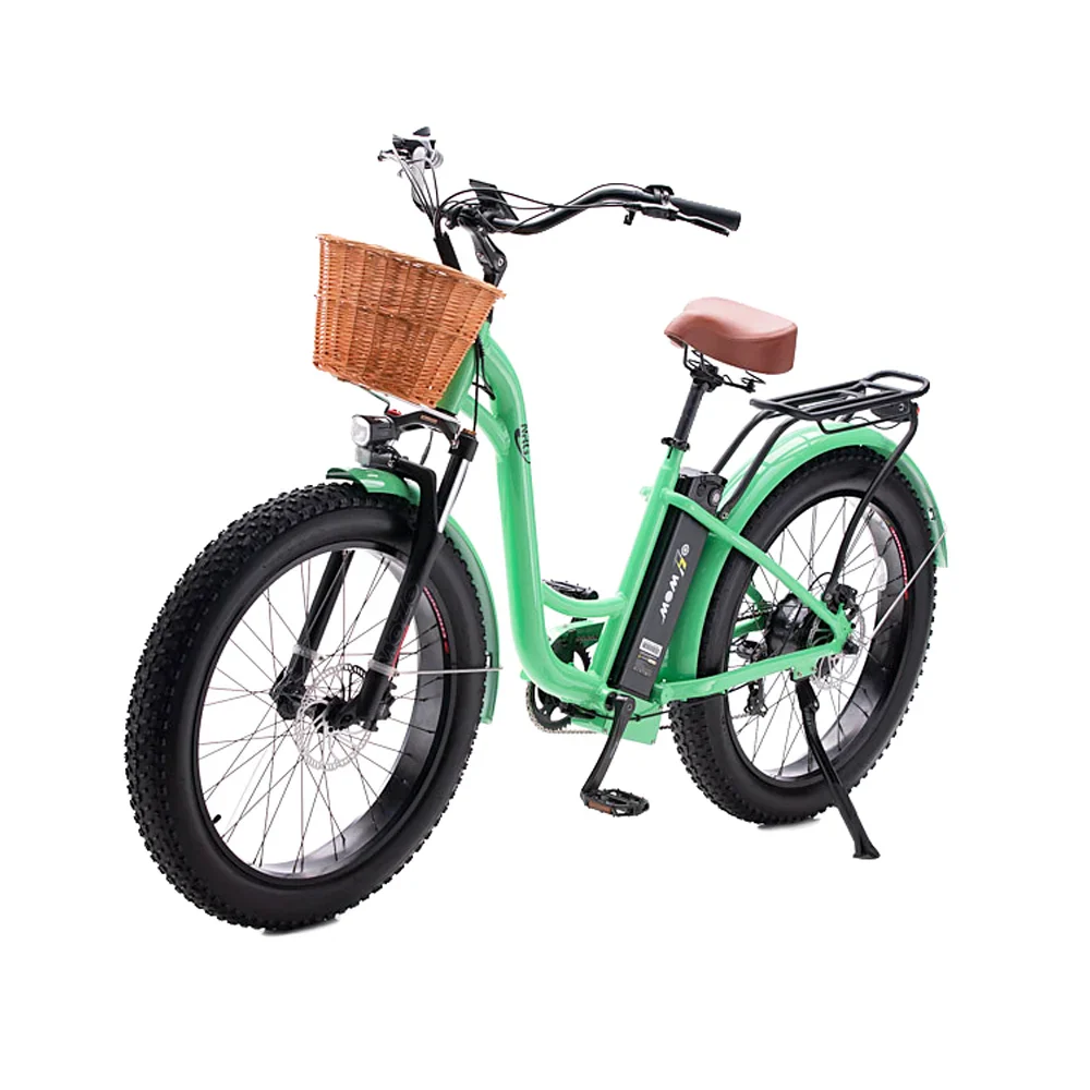 NRG Electric Bike