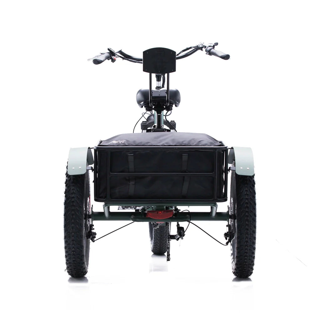 Conductor 750 Trike