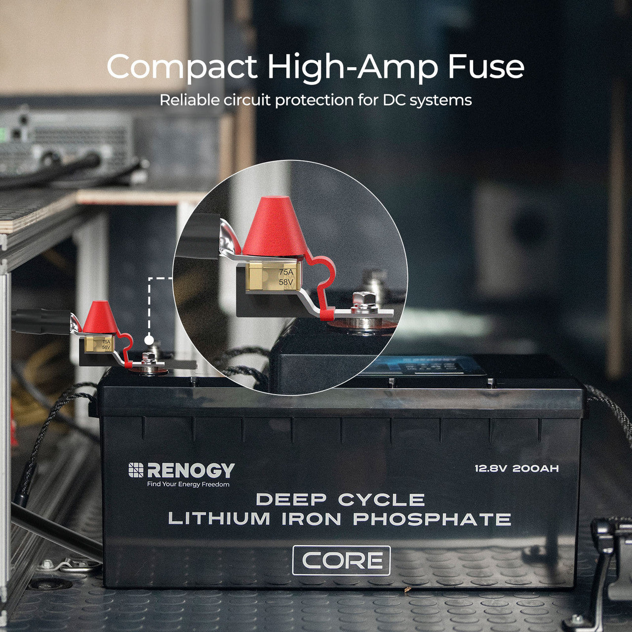 Renogy | MRBF Terminal Fuse(30A/40A/60A/75A/100A/150A/200A/250A/300A/350A/400A) | RPD30TF-BL-US