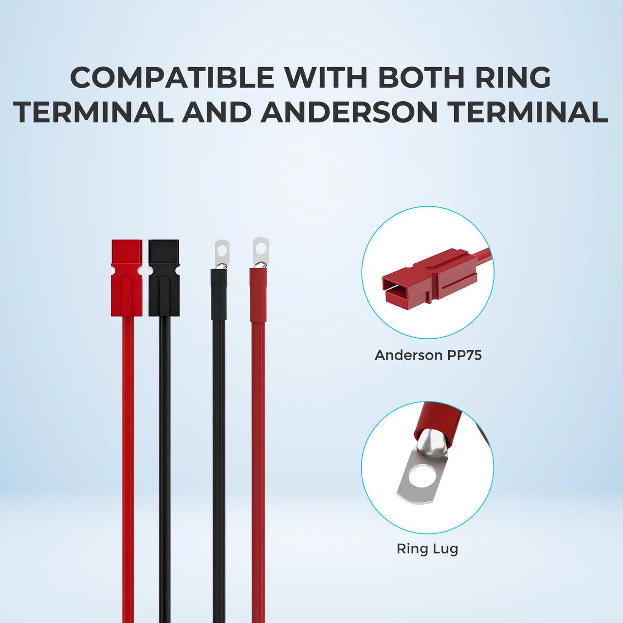 Renogy | 5FT 6AWG Anderson Adapter Cable（Anderson PP75 - 3/8 in Lugs） | RPC0506PR-75-US