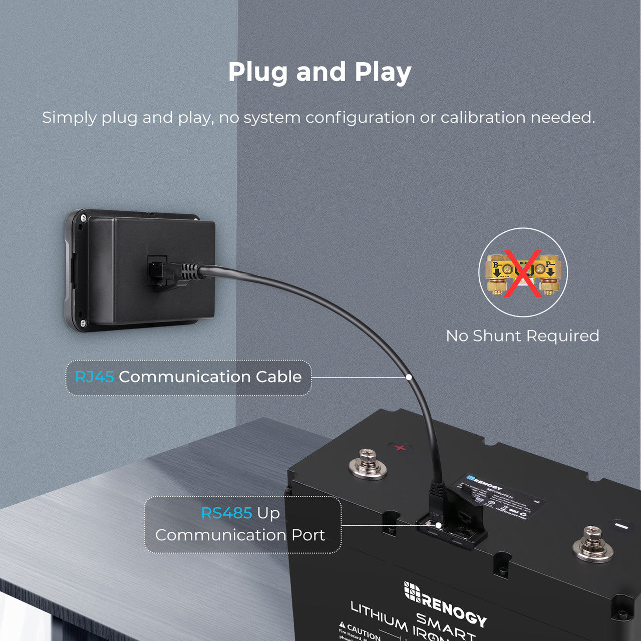 Renogy | Monitoring Screen for Smart Lithium Battery Series | RMS-LFPS-US