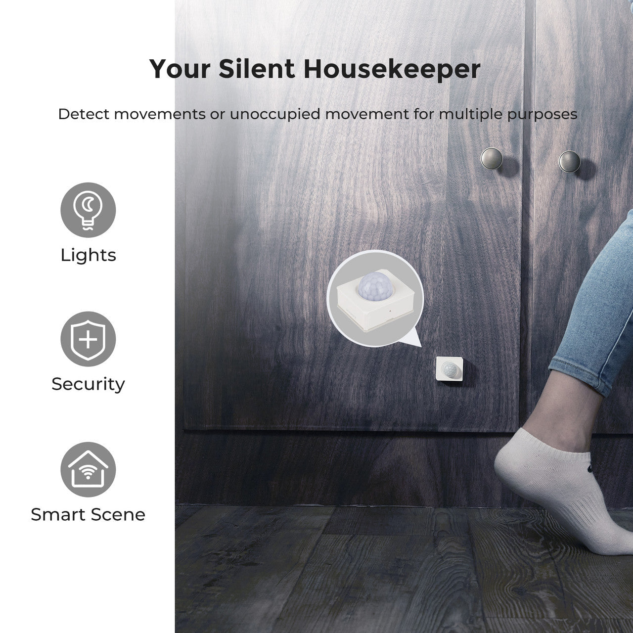 Renogy | Motion Sensor | RSHMSZ03P-US