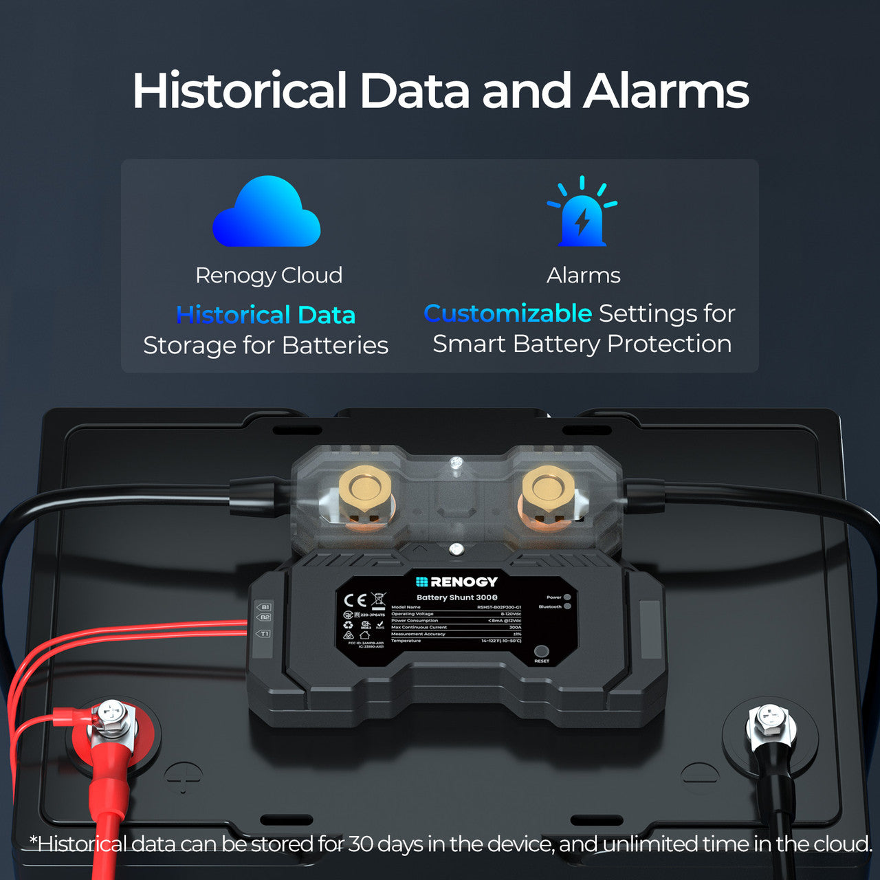 Renogy | Battery Shunt 300 | RSHST-B02P300-US