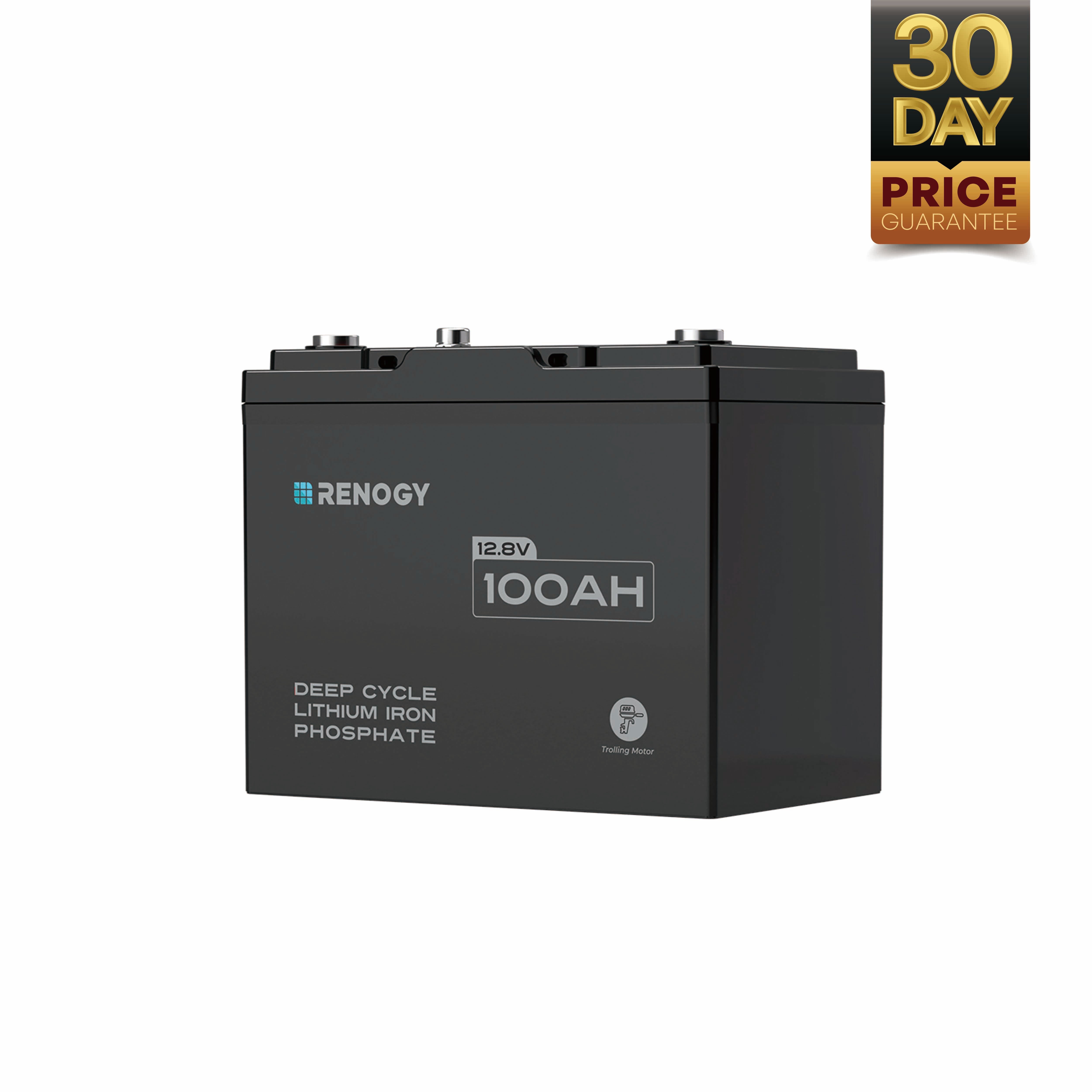 Renogy | Core Mini - 12.8V 100Ah Lithium Iron Phosphate Battery | RBT12100LFP-M-US
