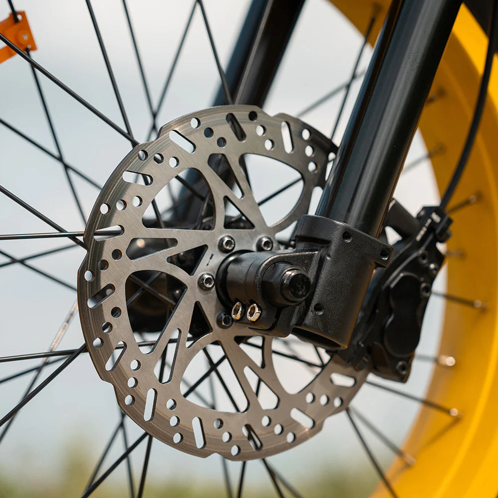 HappyRunSports G100 Pro 6000W Electric Bike Dual Battery