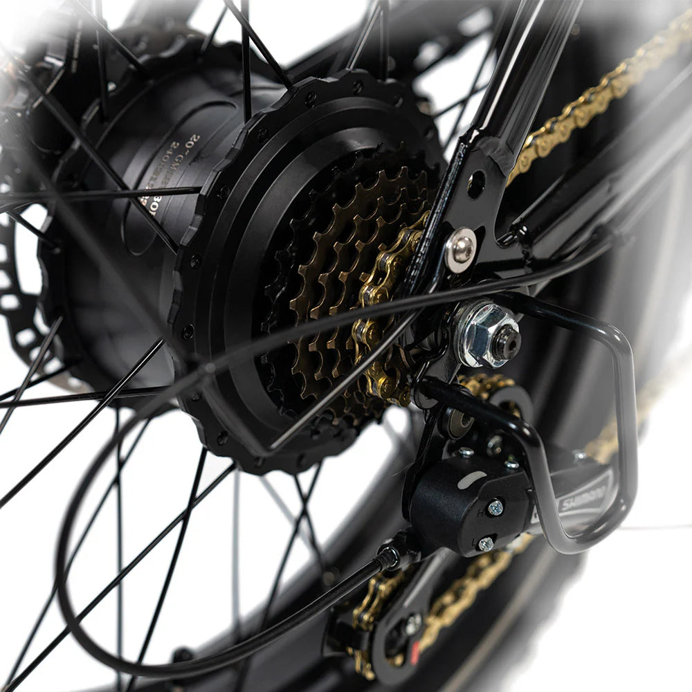 HappyRunSports G70 2000W Dual Battery Fast Electric Cargo Bike for Sale