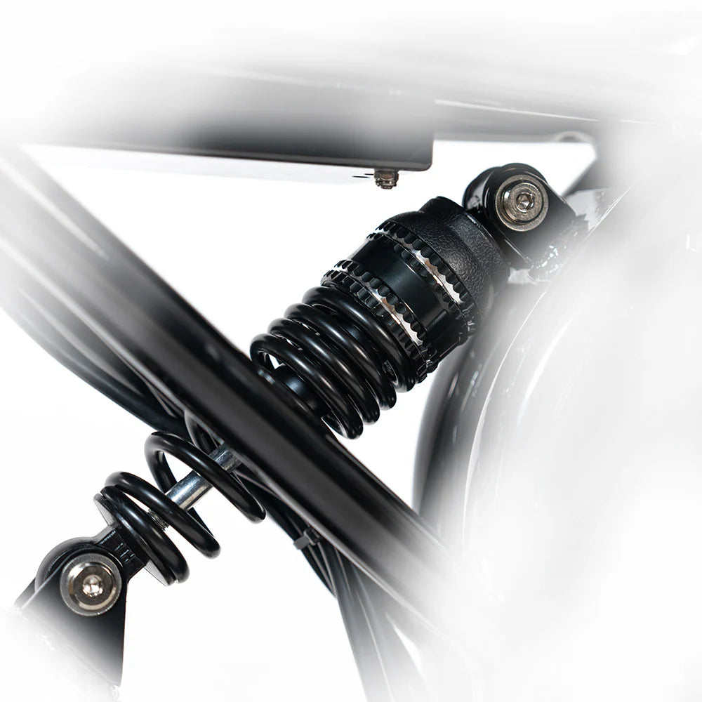 HappyRunSports G70 2000W Dual Battery Fast Electric Cargo Bike for Sale