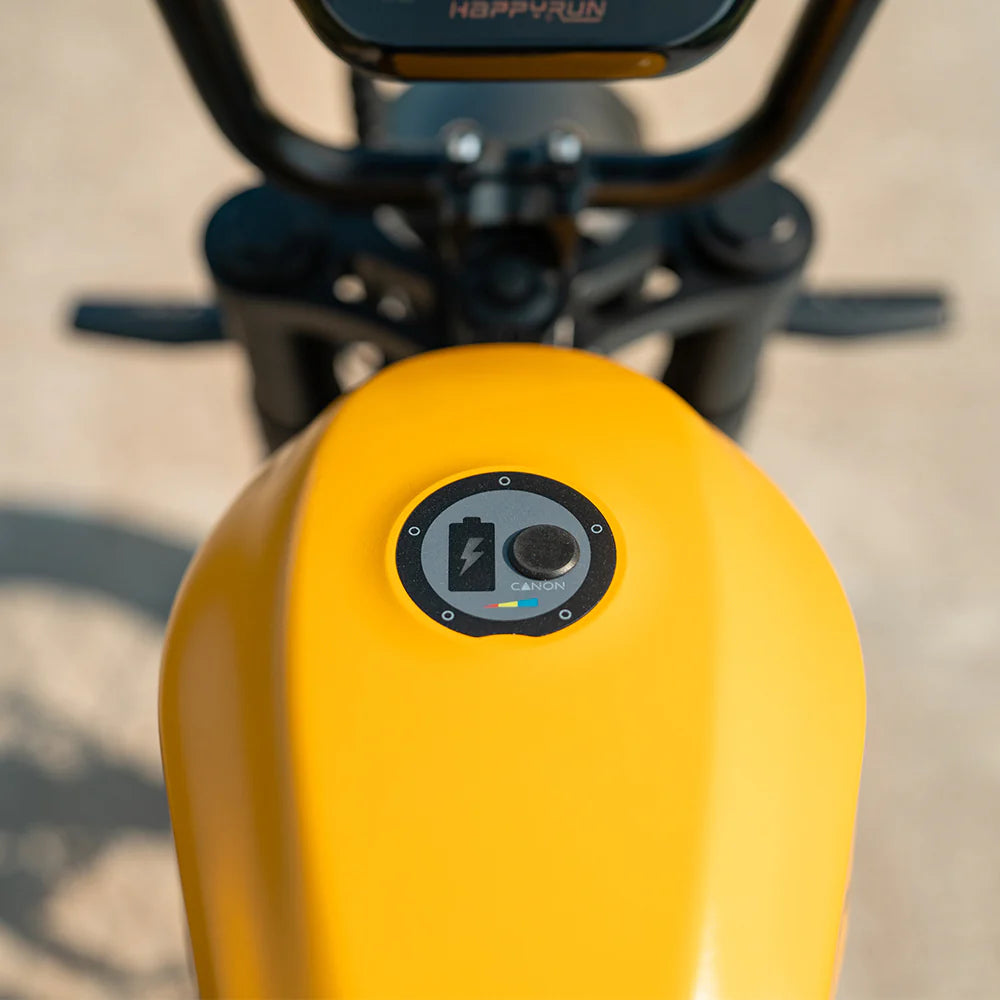 HappyRunSports G100 Pro 6000W Electric Bike Dual Battery