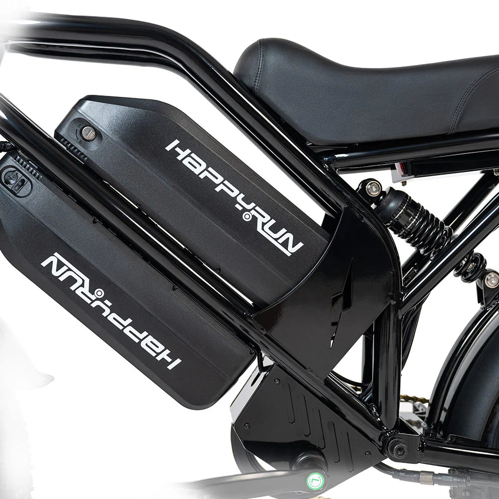 HappyRunSports G70 2000W Dual Battery Fast Electric Cargo Bike for Sale