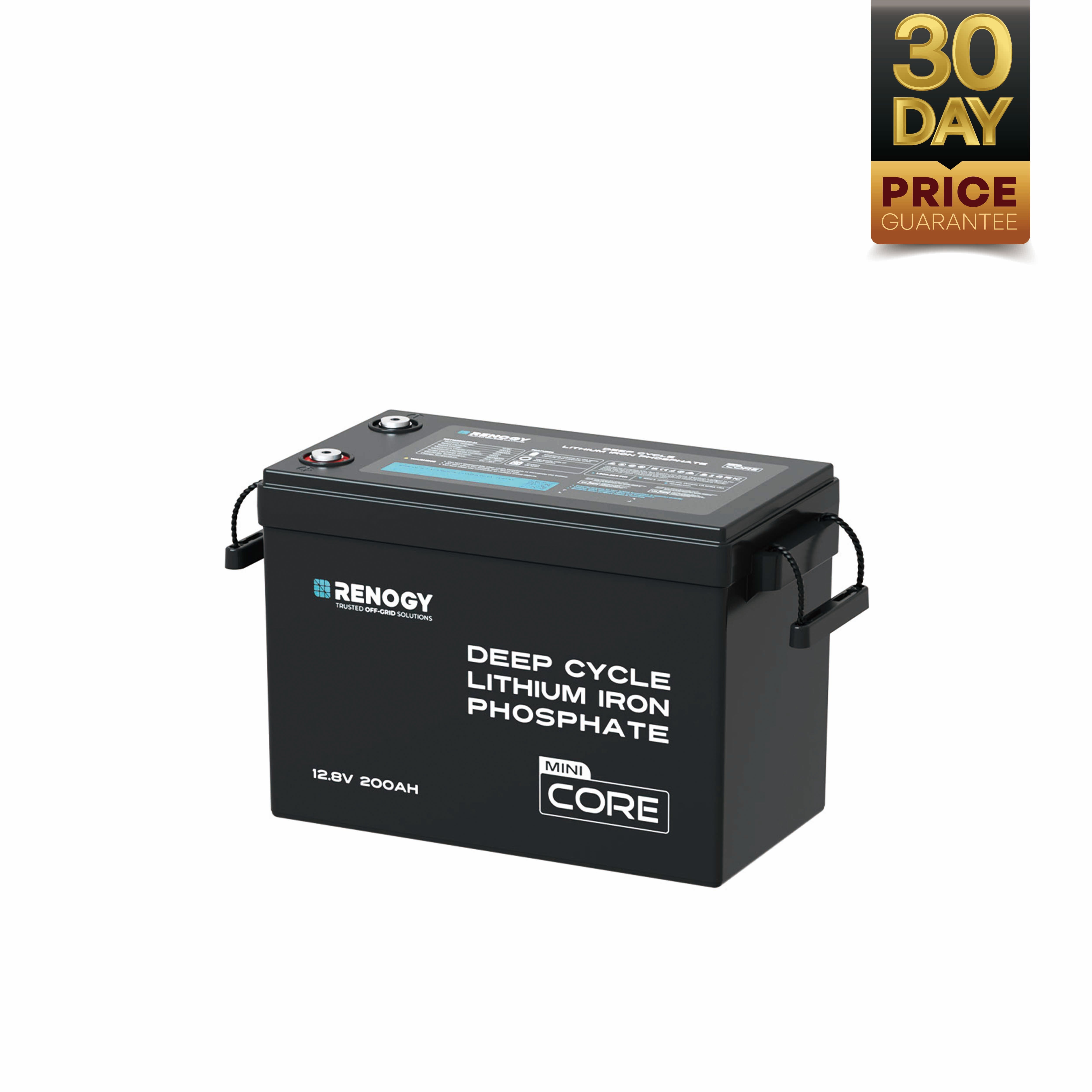 Renogy | Core - 12V 200Ah LiFePO4 Battery w/ Low-Temperature Protection | RBT12200LFP-M-US