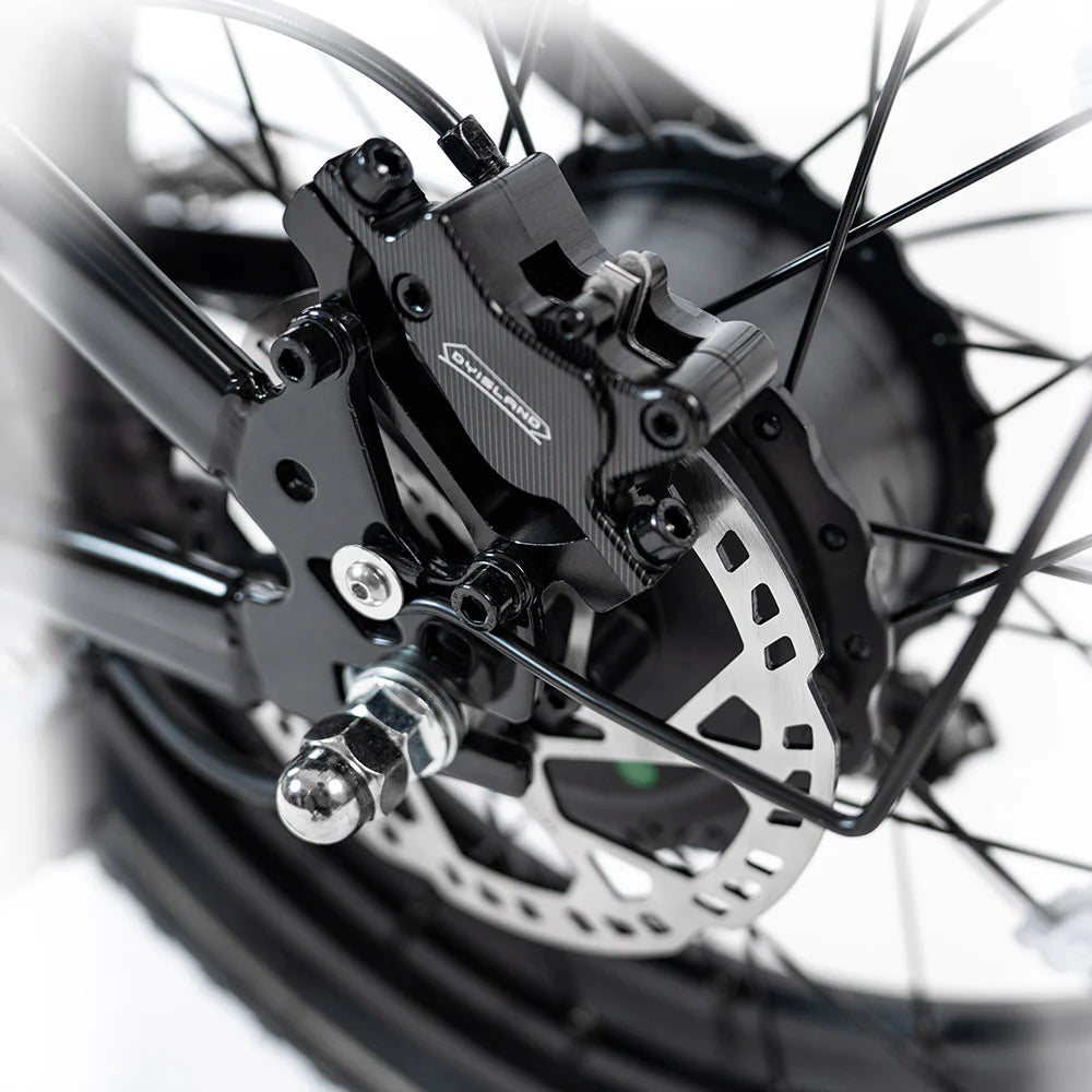 HappyRunSports G70 Pro Dual-Motor Dual-Battery Electric Cargo Bike