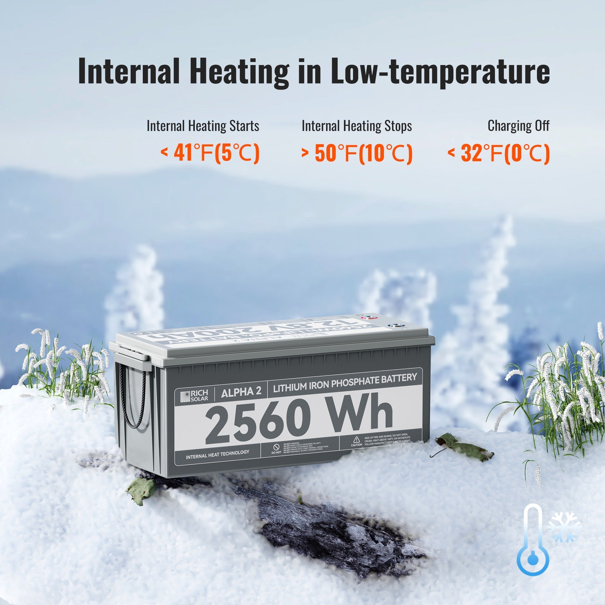 Rich Solar LiFePO4 Battery 12V 200Ah RS-B122S
