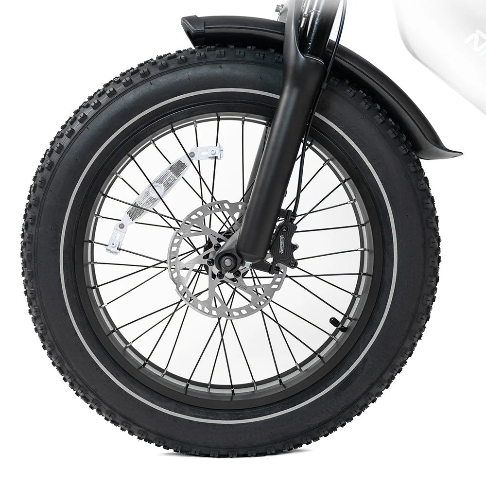 HappyRunSports G70 2000W Dual Battery Fast Electric Cargo Bike for Sale