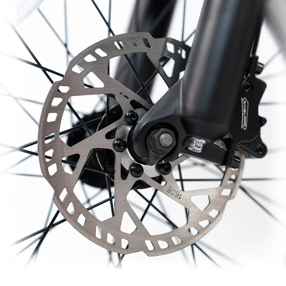 HappyRunSports G70 2000W Dual Battery Fast Electric Cargo Bike for Sale