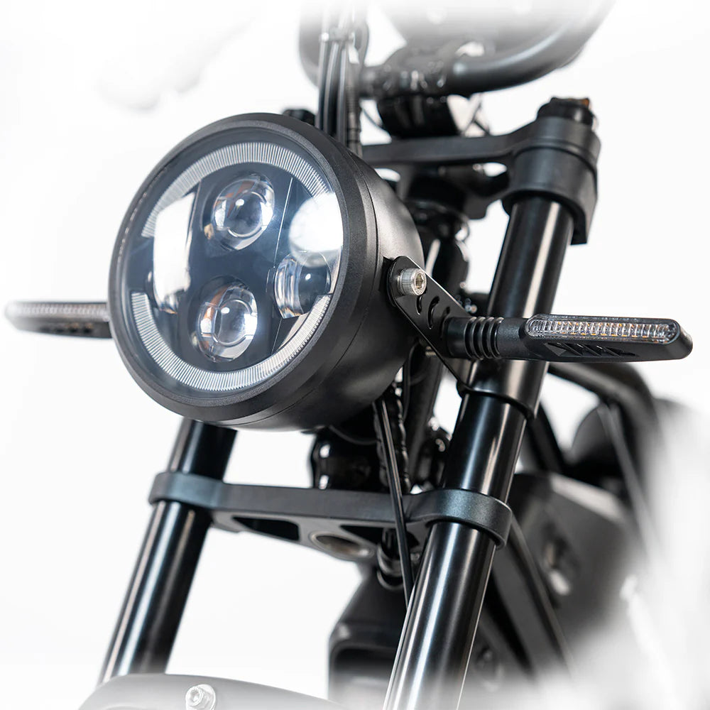 HappyRunSports G70 2000W Dual Battery Fast Electric Cargo Bike for Sale