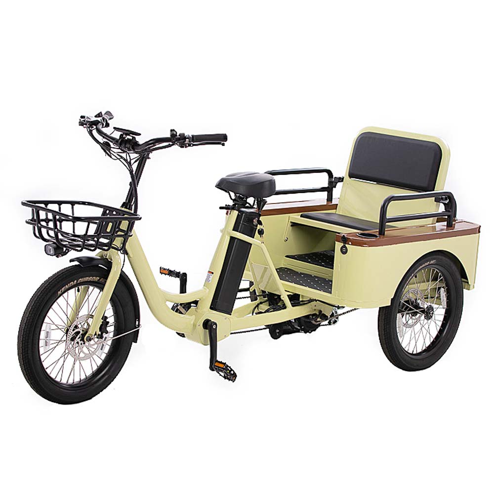 Conductor Plus Rickshaw