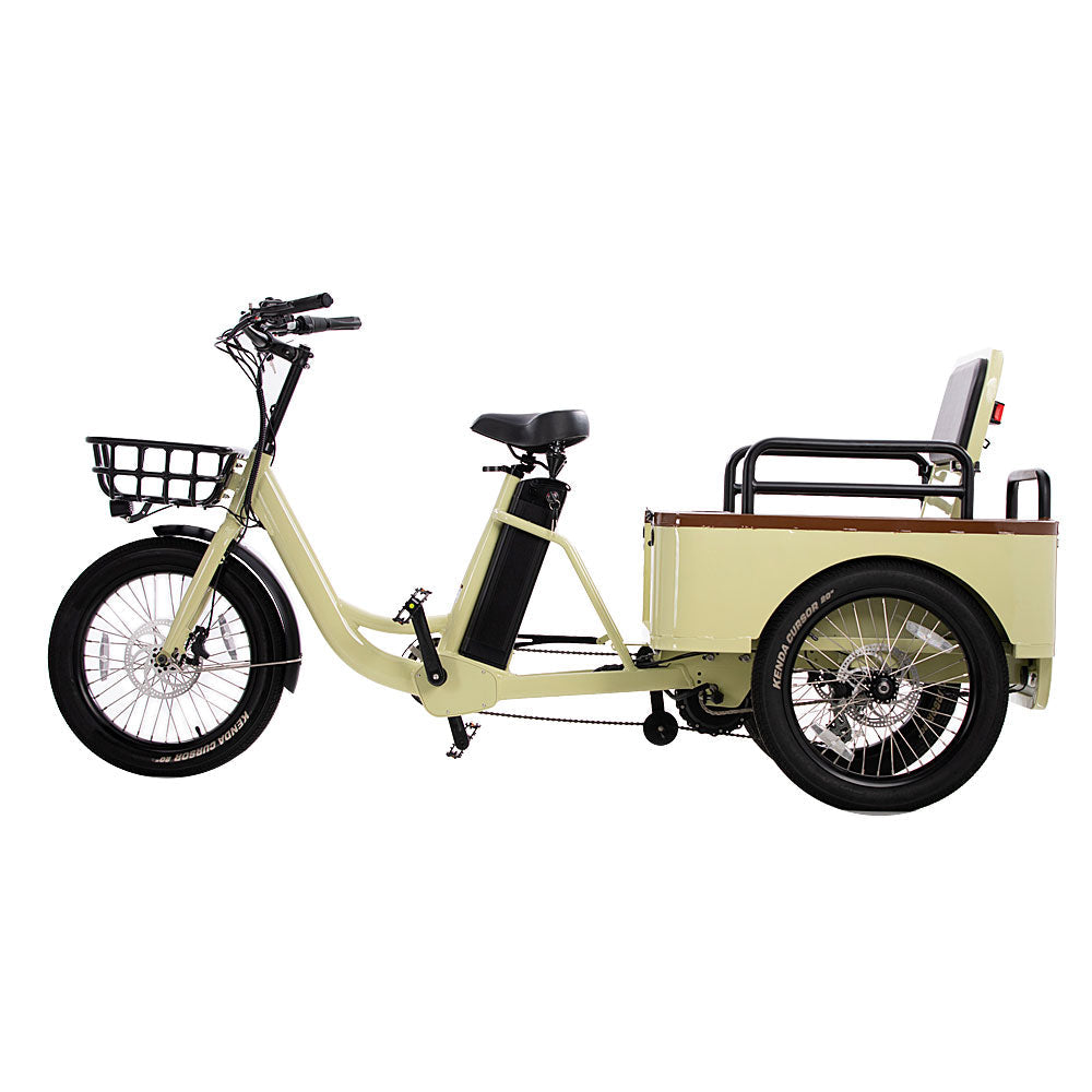 Conductor Plus Rickshaw