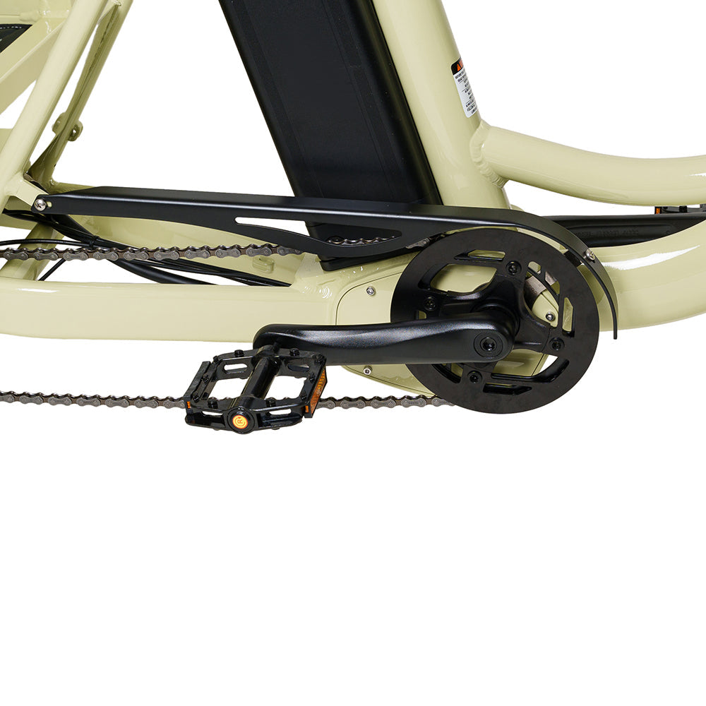 Conductor Plus Rickshaw