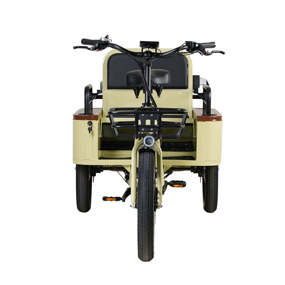 Conductor Plus Rickshaw