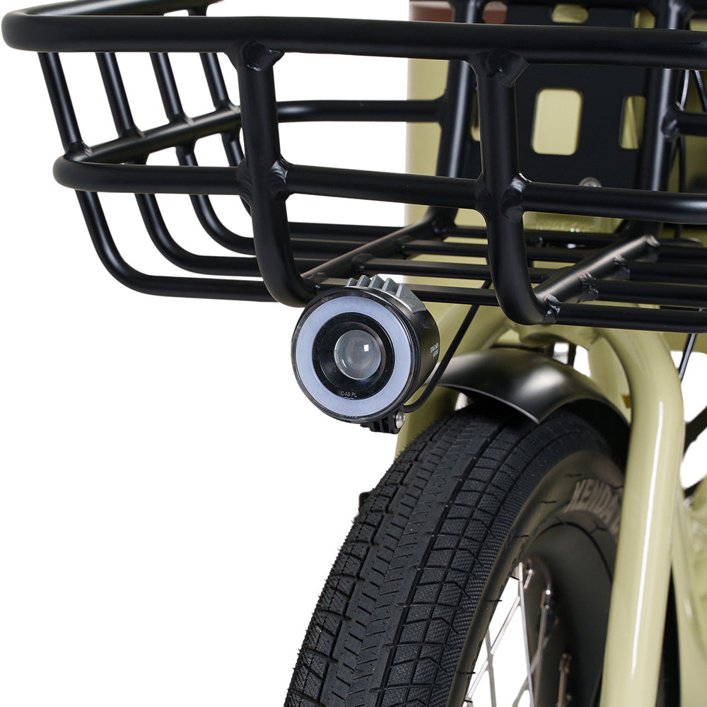 Conductor Plus Rickshaw