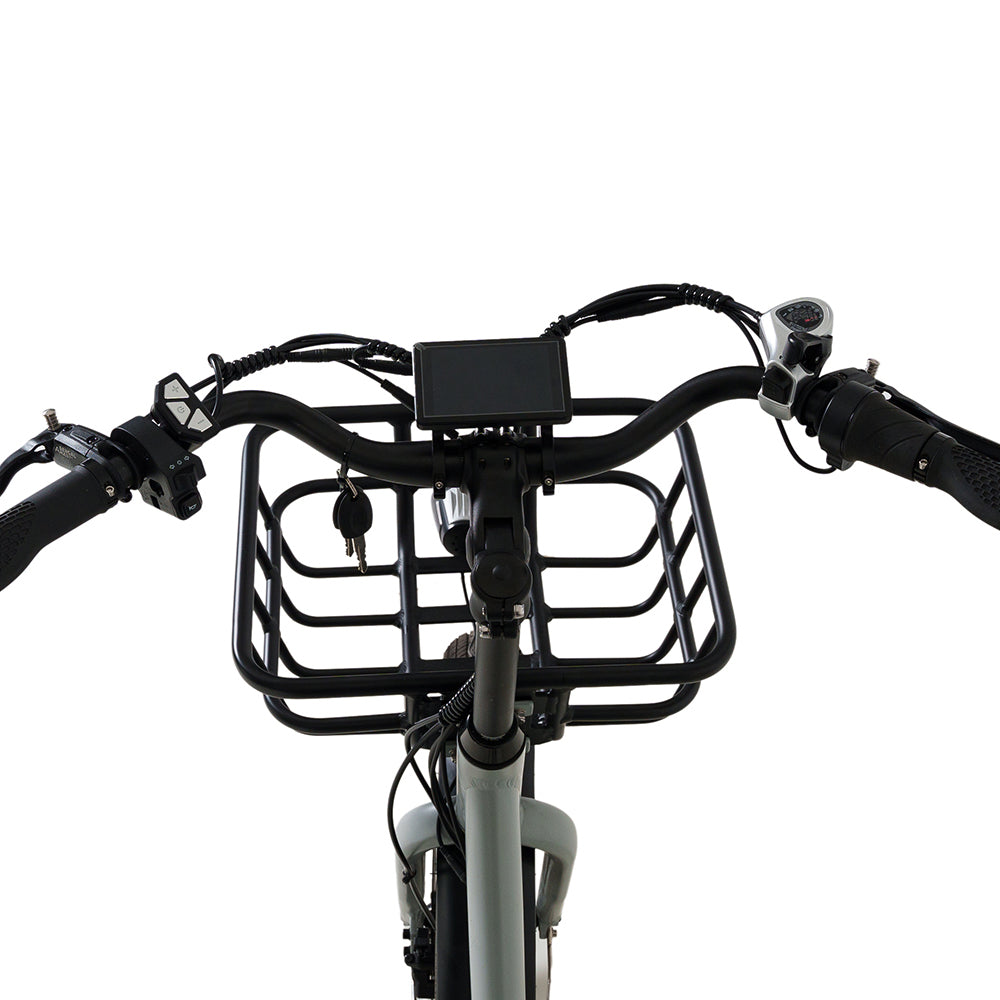 Conductor Plus Rickshaw