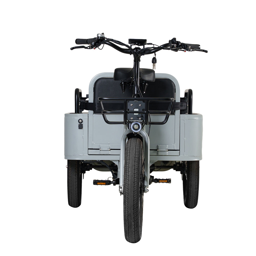 Conductor Plus Rickshaw