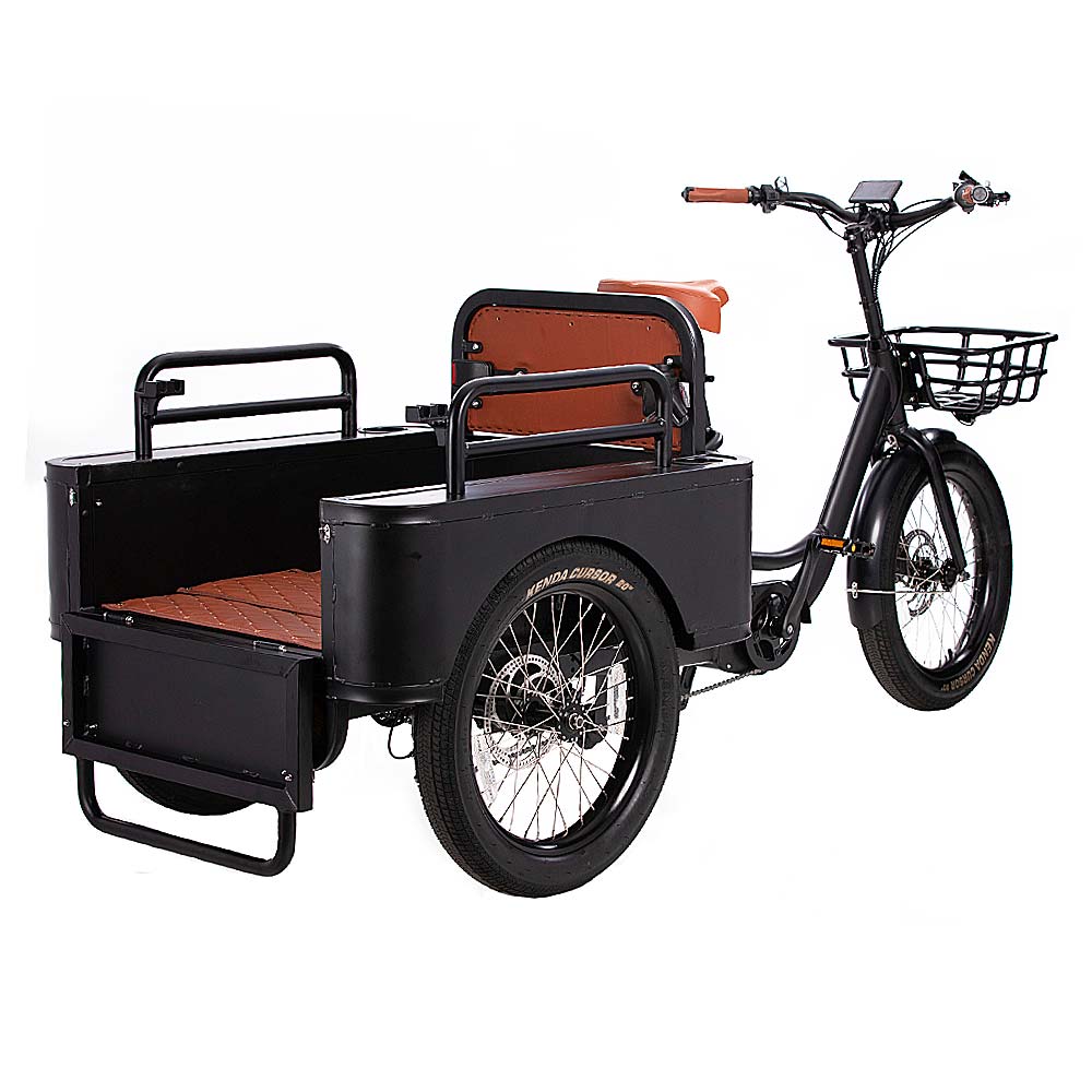 Conductor Plus Rickshaw