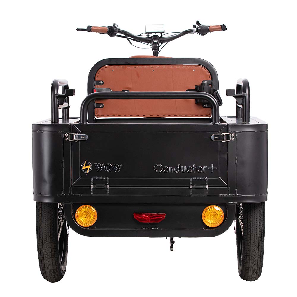 Conductor Plus Rickshaw