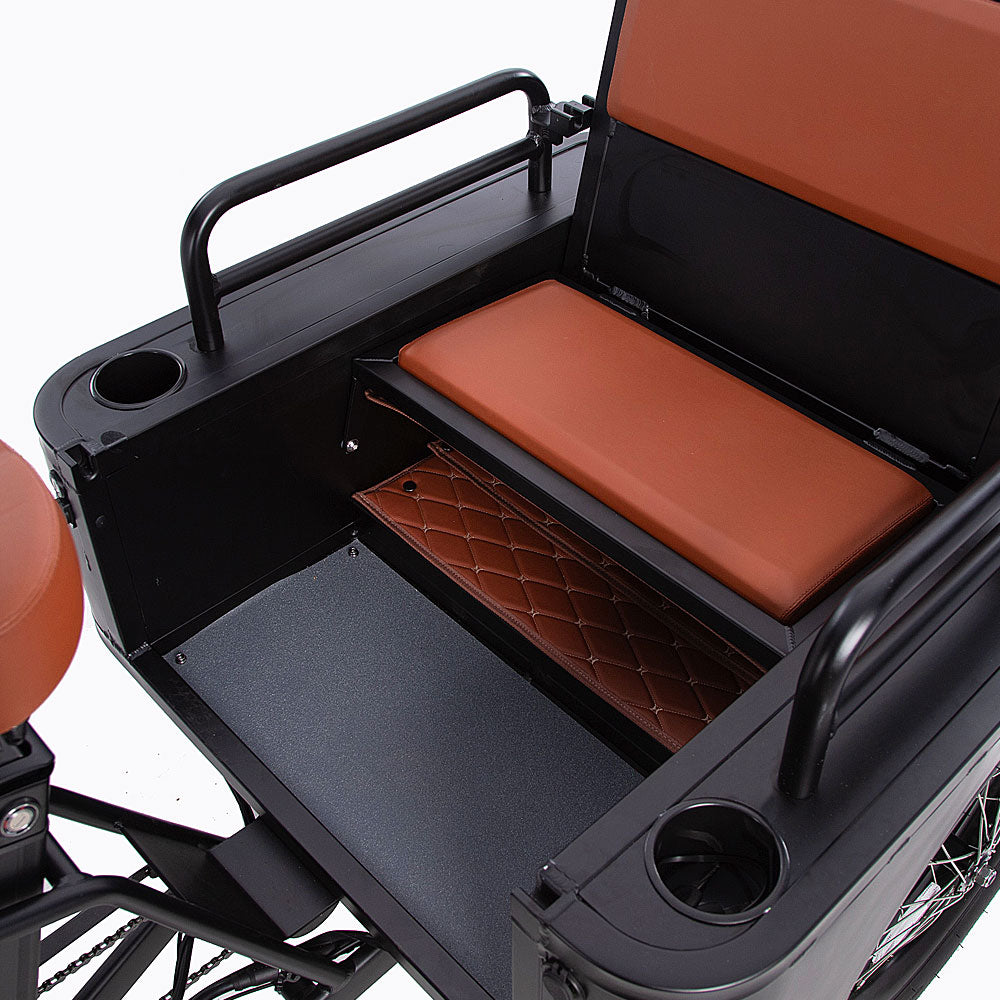 Conductor Plus Rickshaw