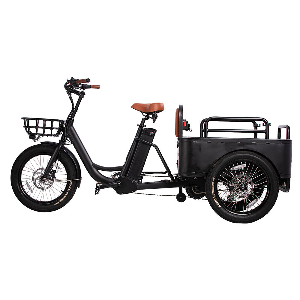 Conductor Plus Rickshaw