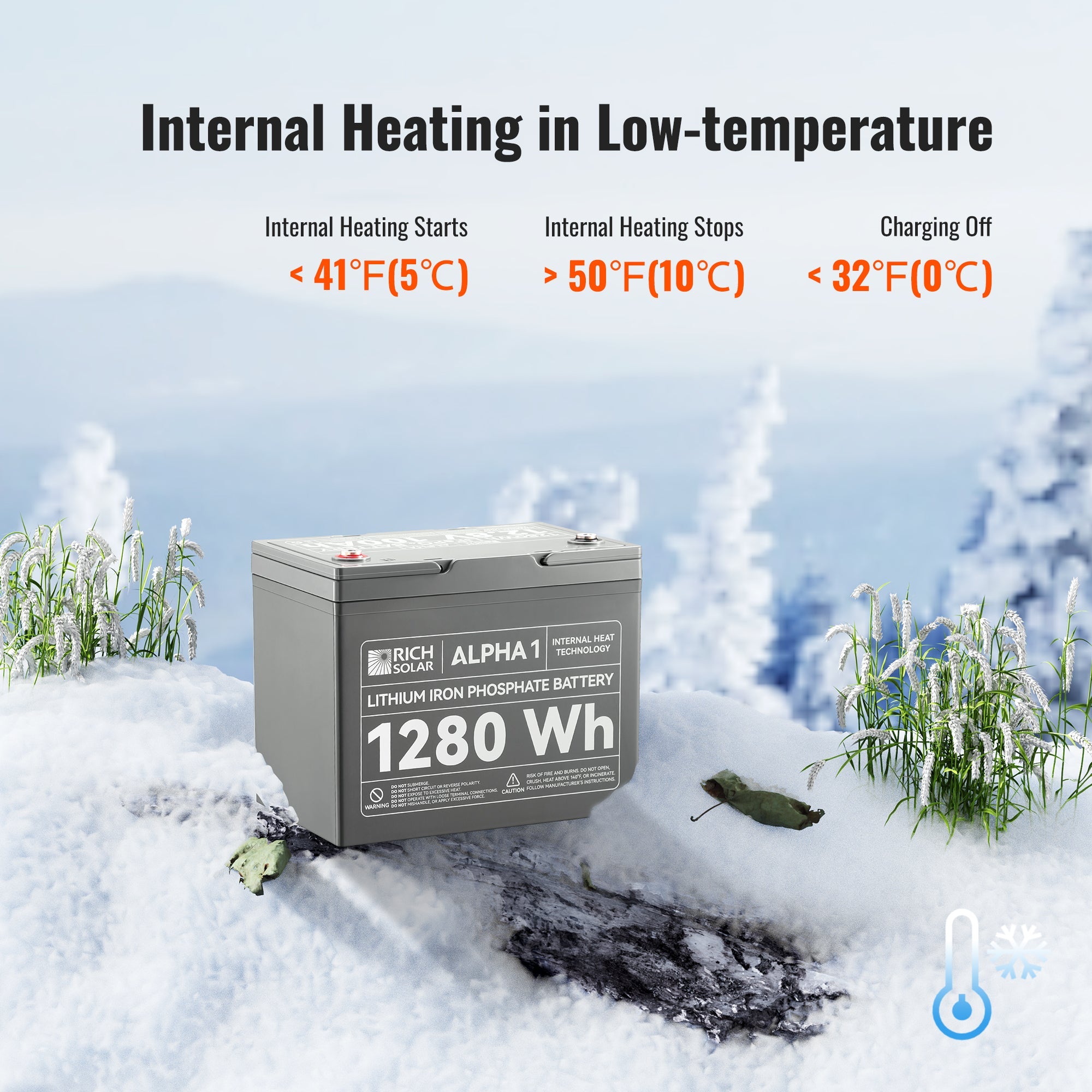 Rich Solar LiFePO4 Battery 12V 100Ah RS-B121S