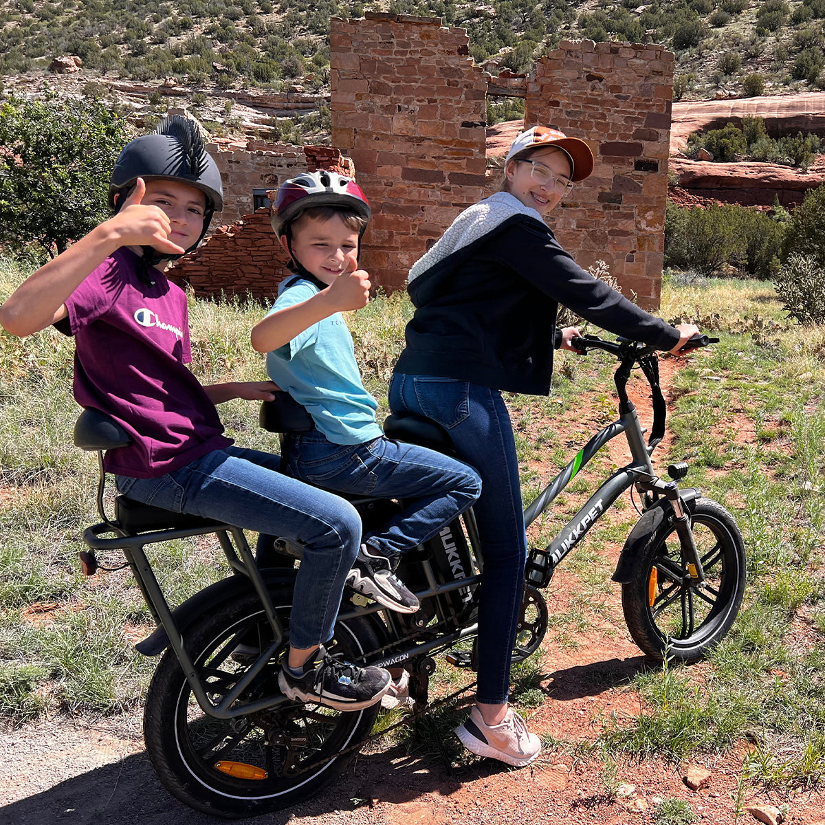 Mukkpet Stepwagon Dual-Battery Cargo E-Bike