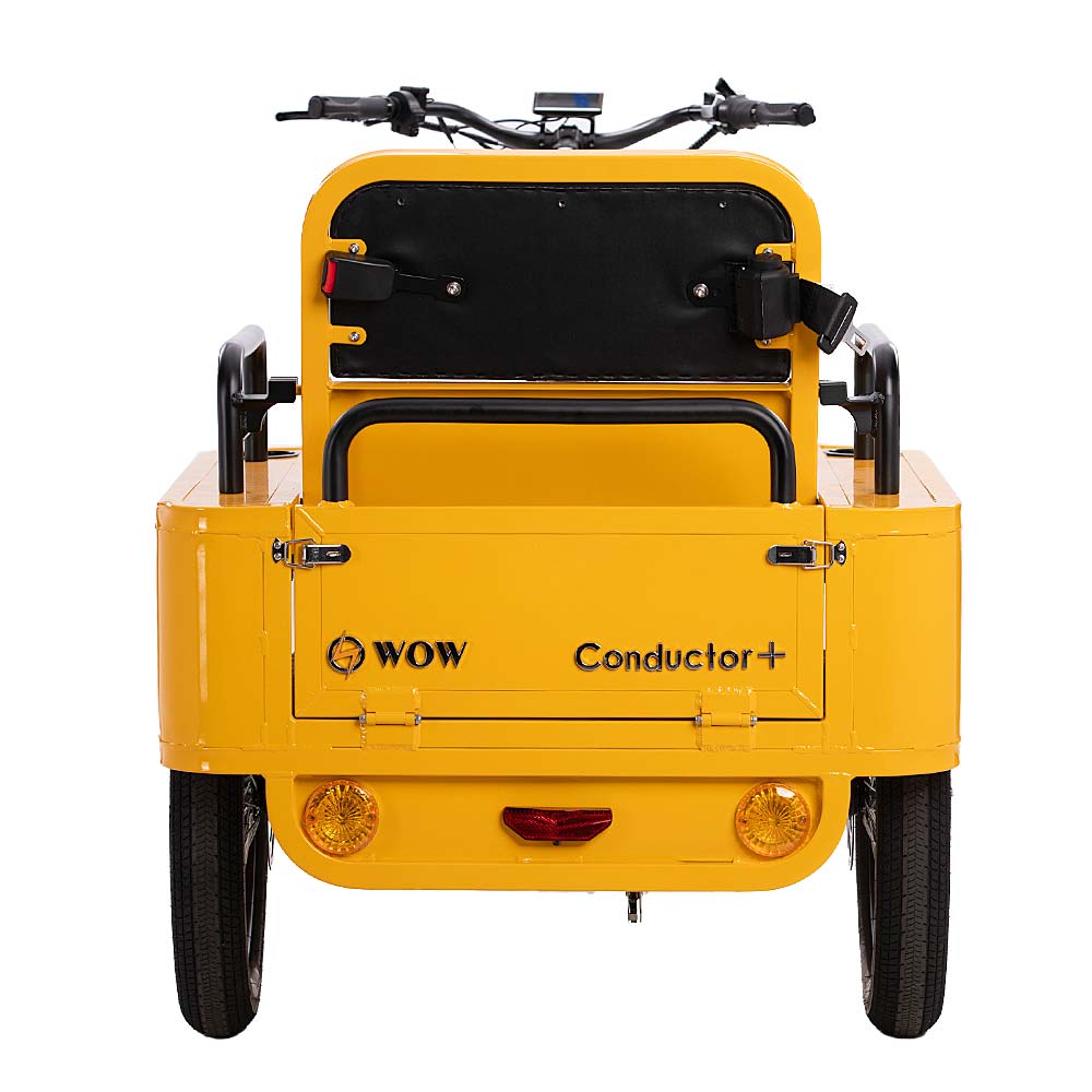 Conductor Plus Rickshaw