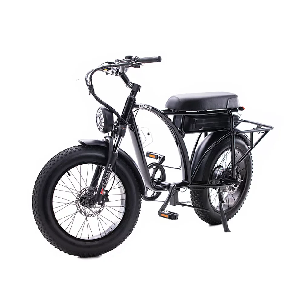 Voltaic 750 Electric Bike