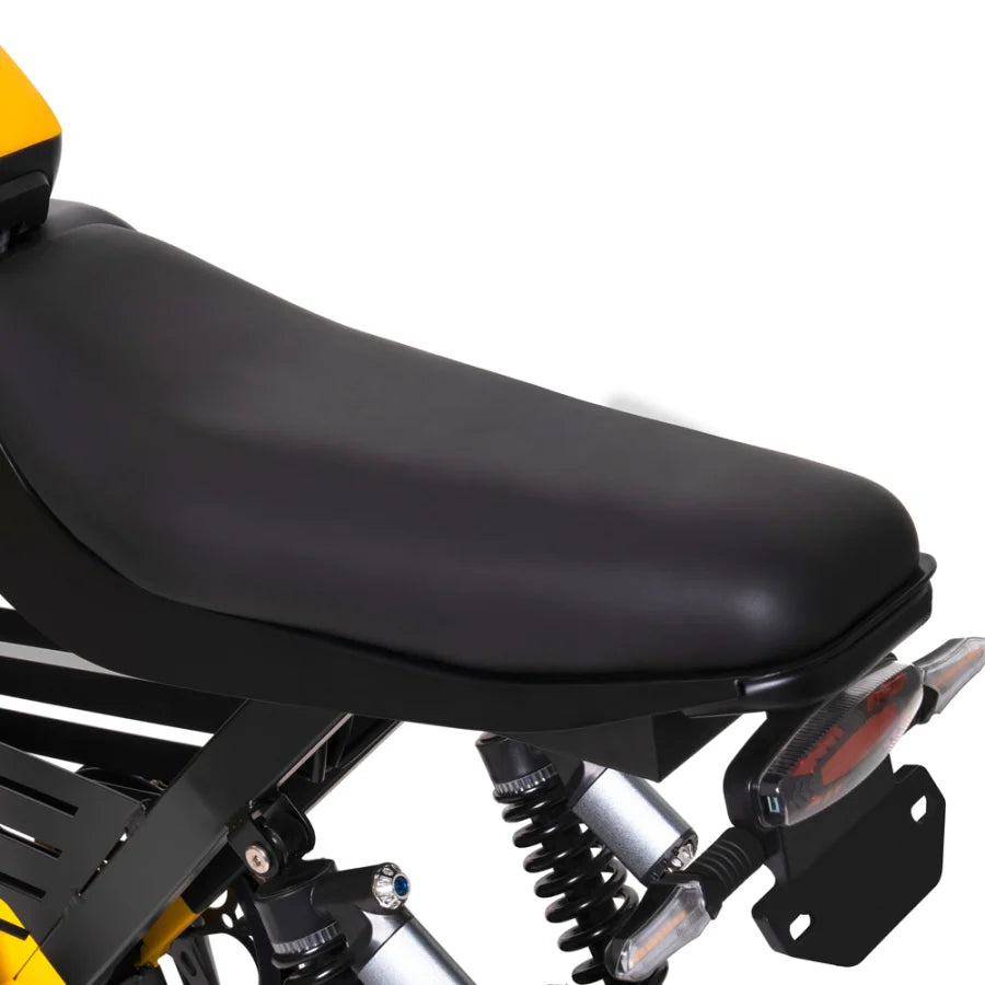 HappyRunSports 1000W Ebike G100 Dual Batteries