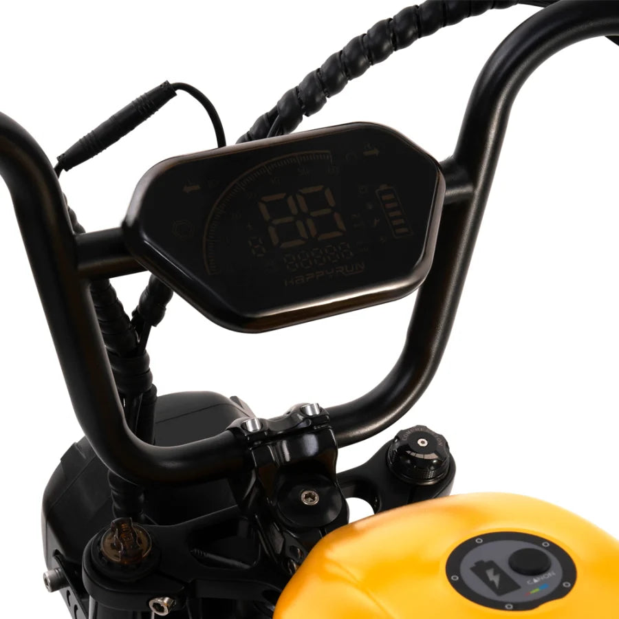 HappyRunSports G100 Electric Bike with 2000W Dual Battery Long Range