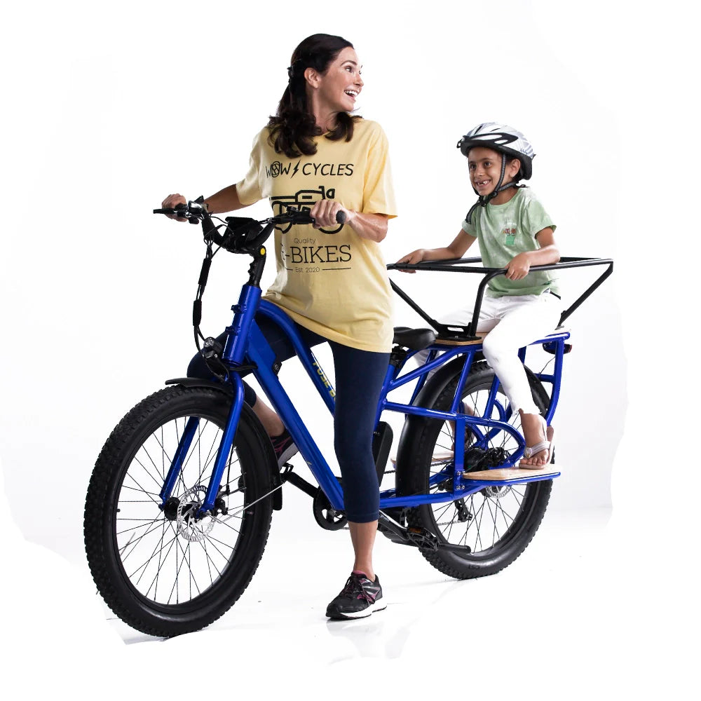 Fuse Box Electric Bike