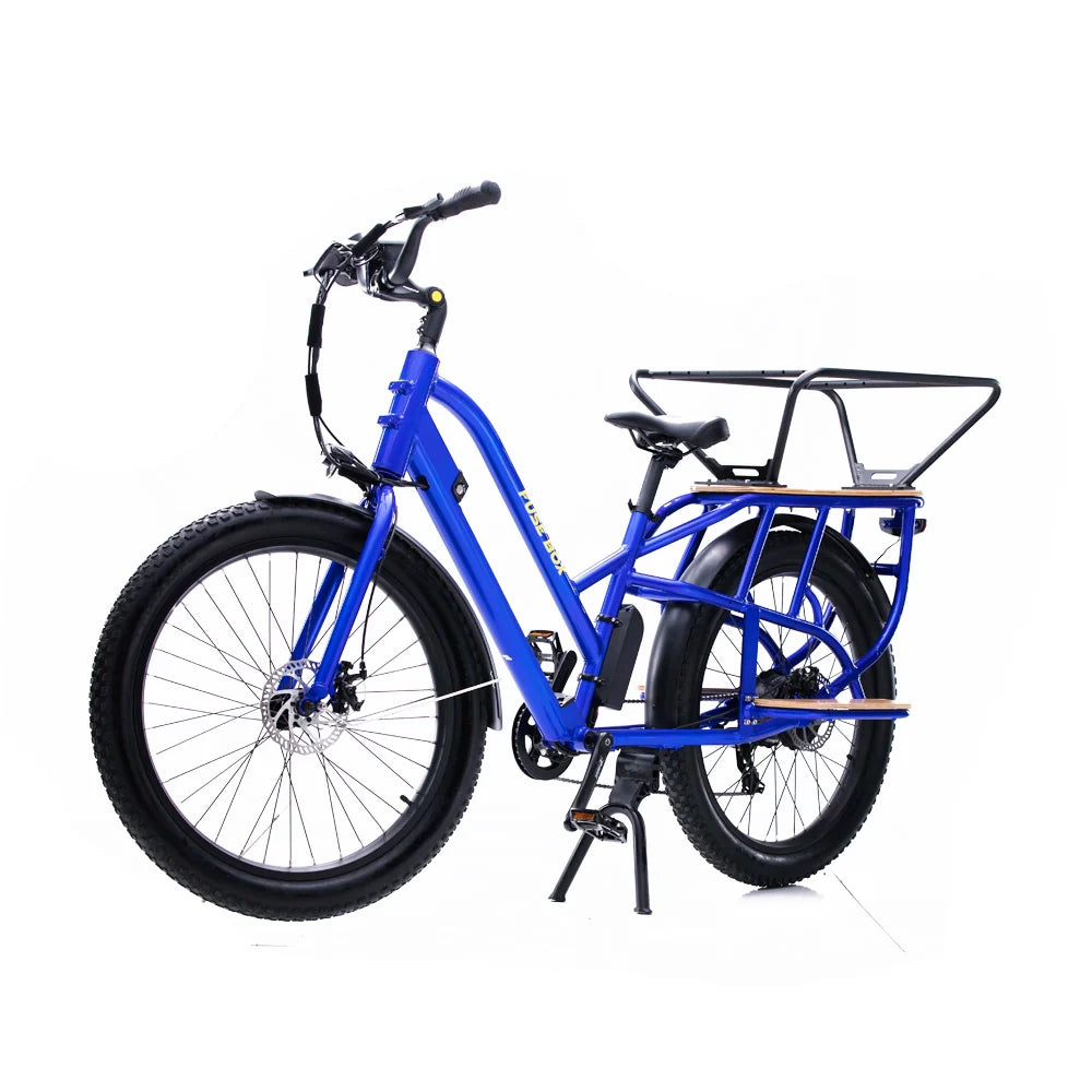 Fuse Box Electric Bike