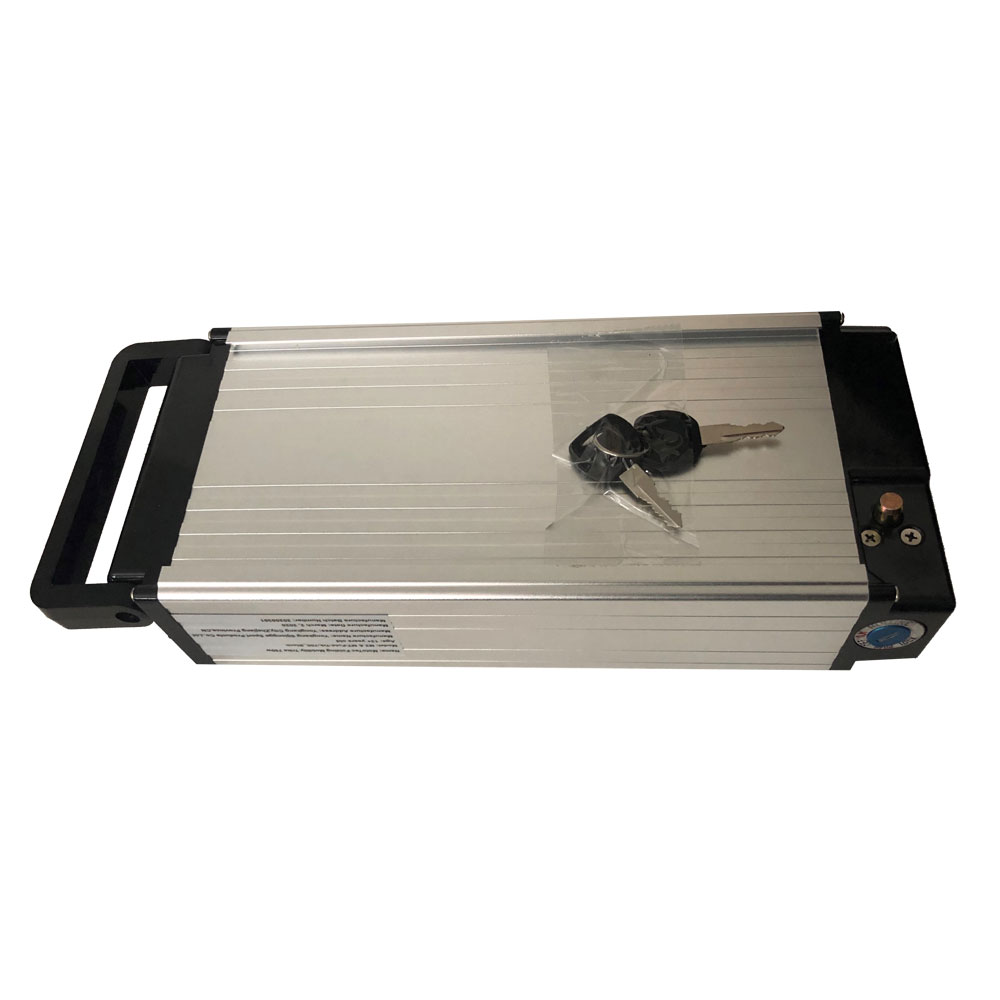 MotoTec 48v 6ah Folding Trike Lithium Battery