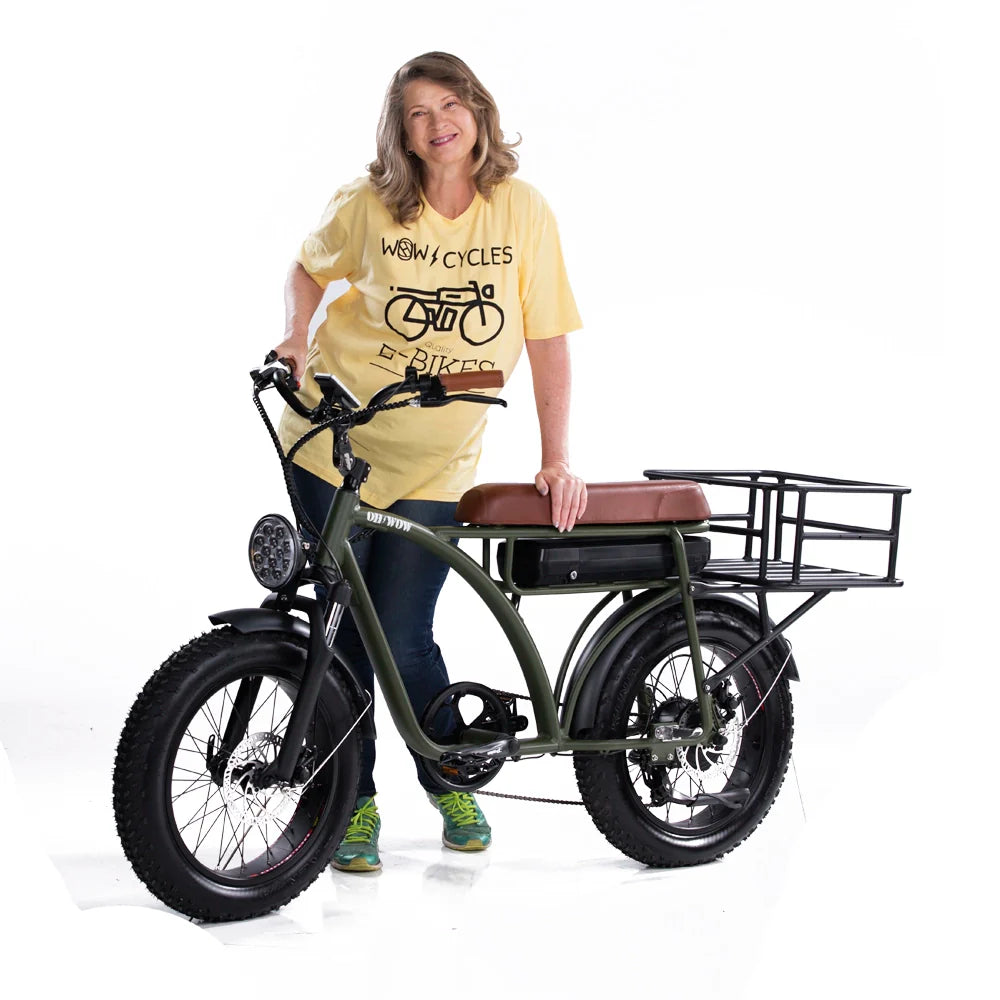 Voltaic 750 Electric Bike